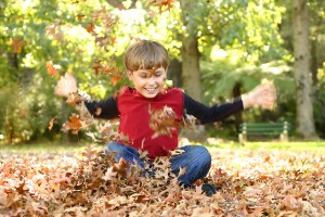 bigstockphoto_Playing_In_Leaves_179479[1]