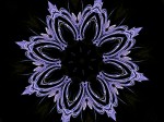 bigstockphoto_Sketchy_Flower_On_Black_2055087[1]