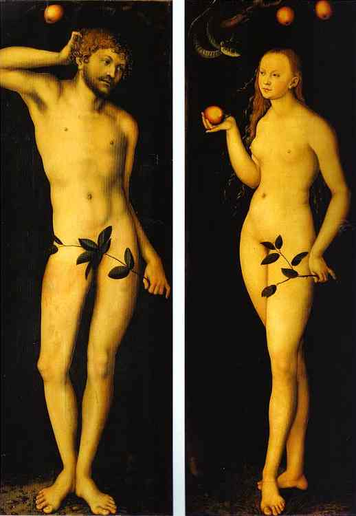 cranach66