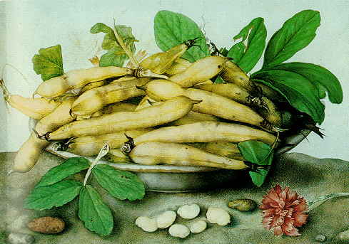 A Dish of Broad Beans, Giovanna Garzoni (c. 1640)