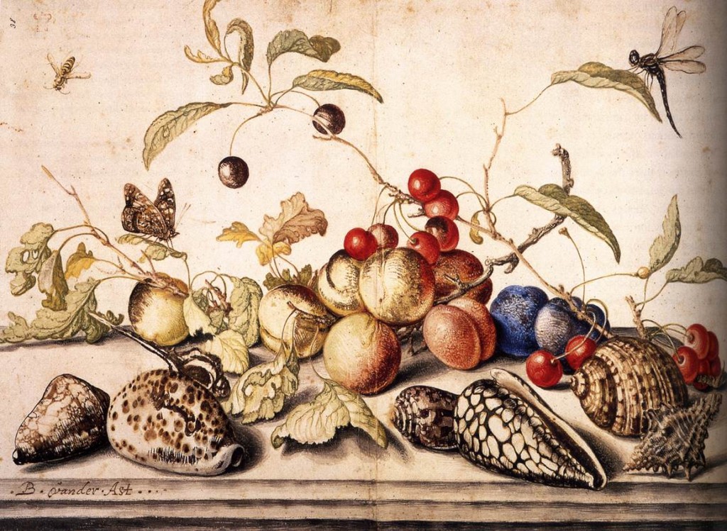 AST, Balthasar van der Still-Life with Plums, Cherries, and Shells c. 1628